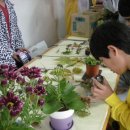 광평중학교 이미지