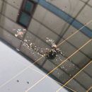 컴인워시HD수원팔달점 이미지