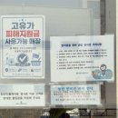 팀버 | 사천 아이와 가볼만한 카페, 25개월 딸과 다녀온 ‘카페팀버’ 후기