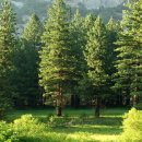 푸른숲정신건강의학과의원 이미지