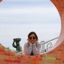 정인목장 이미지