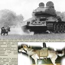 탱크 이미지