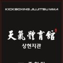천기체육관용인