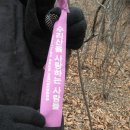 수사사 이미지