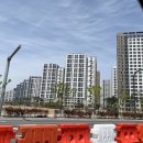 에코 153 이미지