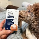 인메디칼 | 강아지 눈물자국 페노비스 인캡슐 루테인 후기