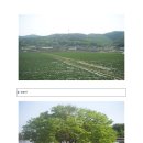 인안1리 이미지