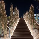 (주)사이프러스 광주 | 전주 대형카페 디오니 카페 / 와인 스토어 (주차장이랑 엘리베이터 이쪽이요 이쪽!)