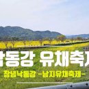 💐경남창녕유채축제 &#34;낙동강 남지유채밭축제&#34; 걸어서구경하기 💐 [ 전국명소탐방72 ] 이미지