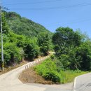 모더니컬 이미지