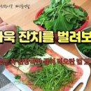 건새우 아욱국 끓이는법 아욱된장국 만드는법 아욱 손질법 아욱요리 이미지