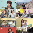 한그릇뚝딱 텐아시아