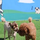 봉주르봉구 이미지