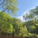 2024년 방동 윤슬거리 음악분수 이미지