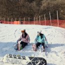 김라인샵 | 엘리시안 강촌 스키 렌탈샵 비전 스키샵 인라인 내돈내산 후기