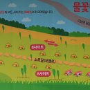 물꽃 캠핑장 이미지