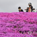 향기가득길 이미지
