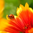 안나피아노 교습소 이미지