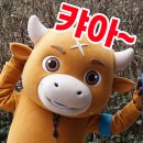 송암정사 이미지