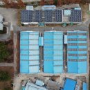 가람 태양광발전소 이미지