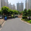 용호2로54번길 이미지