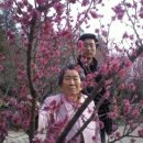 공산면사무소 Daum카페
