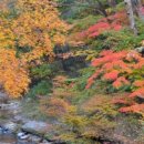 명신펜션가든 이미지