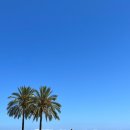 경춘체육관 이미지