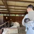 시현목장 이미지