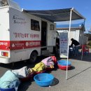 종합세탁 이미지