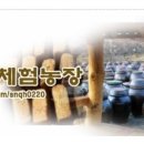 세종한울투어 이미지