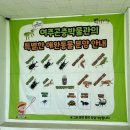 아마존안경아울렛 | 경기도 가볼만한 곳 장수풍뎅이 사슴벌레 파충류 직접보고 만질 수 있는 실내 체험 관찰 여주 곤충박물관