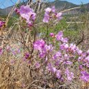 부곡한옥펜션 이미지