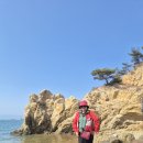 박해목장 이미지