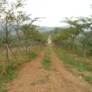 시헌농장 이미지