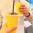 위례게코샵티라노