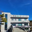 하동솔잎돼지 이미지