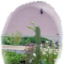 영남농장 이미지