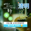 "'용인공원'을 찾아서..."＜2019.04.05(금)~06일(토)＞ 이미지