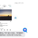 몽글그루밍 | 뜻하지 않은 행운들
