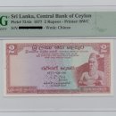 고대1123 이미지