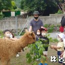 소백산마을농촌체험휴양마을 이미지