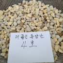 조양무역 이미지