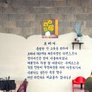 서귀포 맛집 수제소스로 더 특별한 송악산해물라면오빠네본가 본점