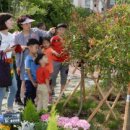 월계초등학교 이미지