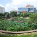 연의체육공원 이미지