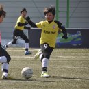 [결승전] 유소년클럽의 축제! 저학년부 광명유소년FC, 고학년부 험멜FC와 위너스 코리아 우승으로 마무리 이미지