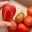하삼동커피대산점