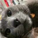 제이와이피(JYP)세차 이미지