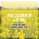 한중 | 시안 근교 여행 | 한중 유채꽃 만개 후기 + 아이동반 한중여행 코스 (3월말)